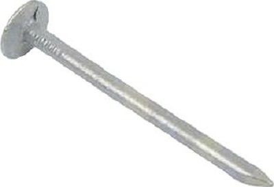  Clout Nail x Large 13x3mm Galvanized