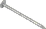  Clout Nail Plain 50 x 3.35mm Galvanized