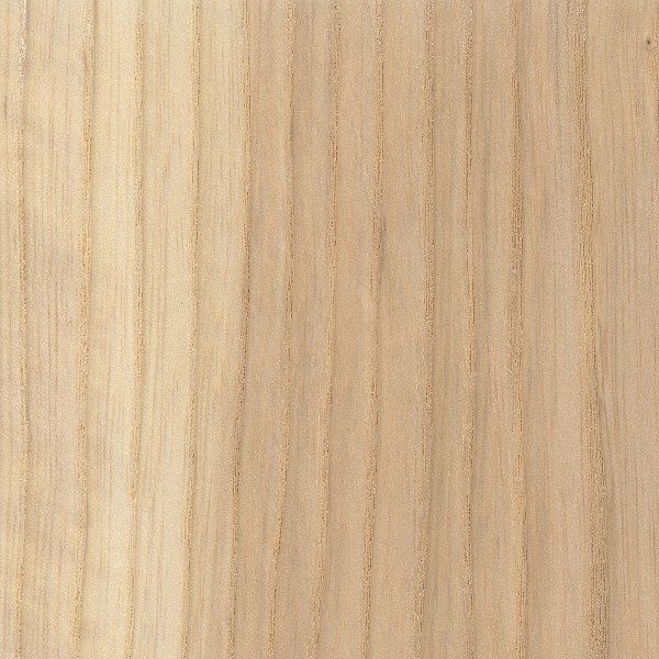 Ash American 34x21mm