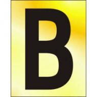  Letter 'b' 50mm Black On Ga