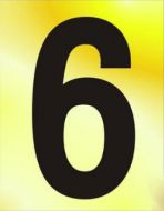  Numeral No 6/9 50mm Black On Gold