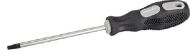 SILVERLINE 244703 Screwdriver Economy Torx T25x100mm