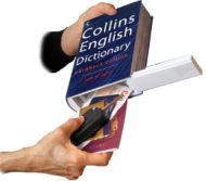  Key/money Safe Collins Dictionary Book