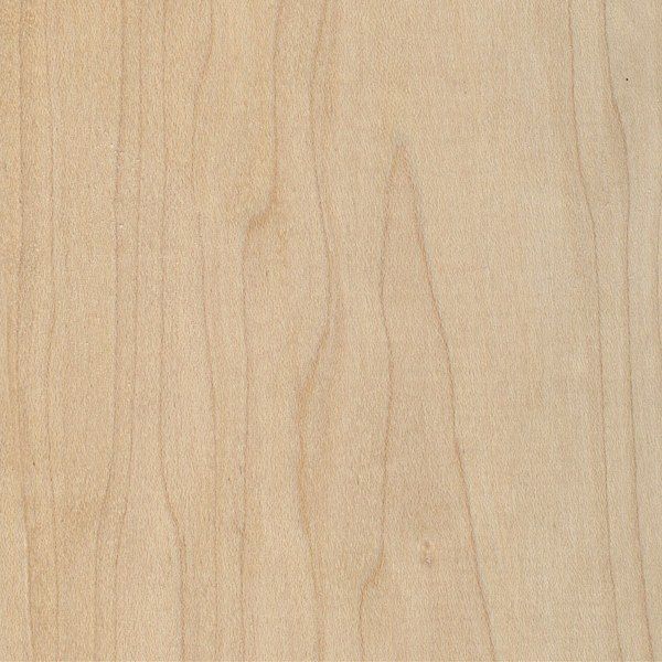  American Hard Maple 100x32mm