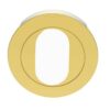 CARLISLE BRASS +AA2 Escutcheon Oval (50x10) Concealed Fixing PB (PAIR)