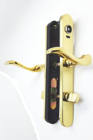 SALTO E2021085LPA Compact Ibutton RW Handle & Turns Brass (EACH)