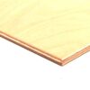 Birch Plywood Bb Ext L/grain 4mm 2440x1220 (EACH)