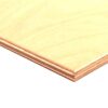 Birch Plywood Bb Ext L/grain 6mm 2440x1220 (EACH)