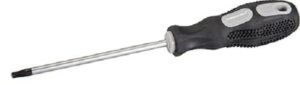 Screwdriver Economy Torx T25x100mm (EACH)
